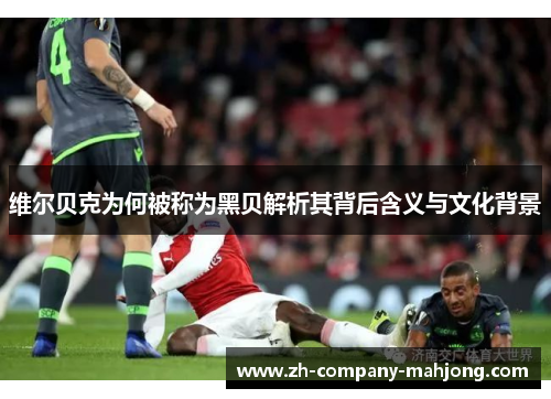 维尔贝克为何被称为黑贝解析其背后含义与文化背景