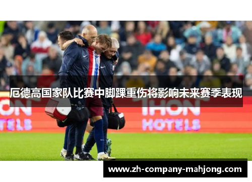 厄德高国家队比赛中脚踝重伤将影响未来赛季表现