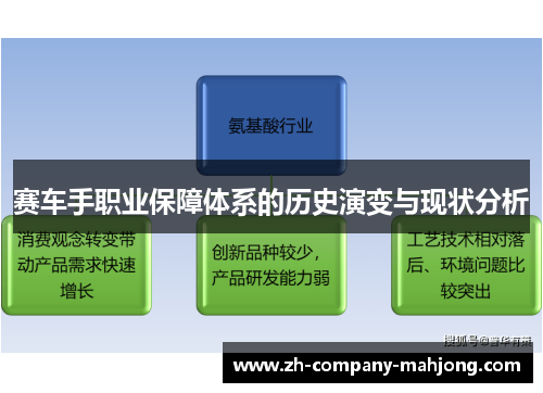 赛车手职业保障体系的历史演变与现状分析