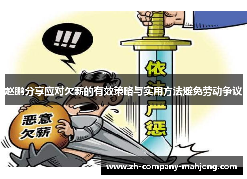 赵鹏分享应对欠薪的有效策略与实用方法避免劳动争议