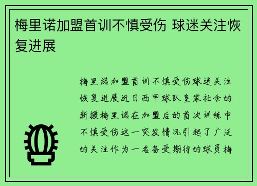 梅里诺加盟首训不慎受伤 球迷关注恢复进展